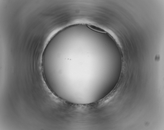 X0000090710815200708101504