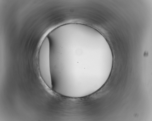 X0000090710816200708101504