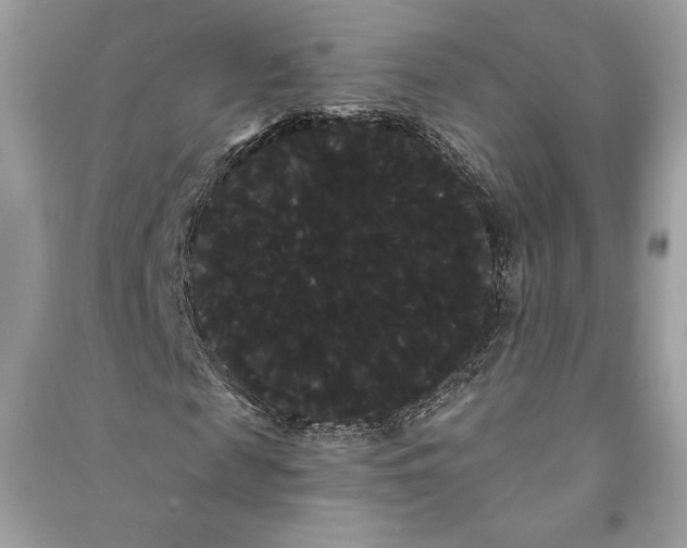 X0000090710817200708101503