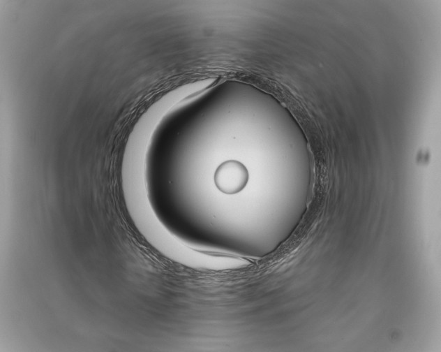 X0000090710818200708101503