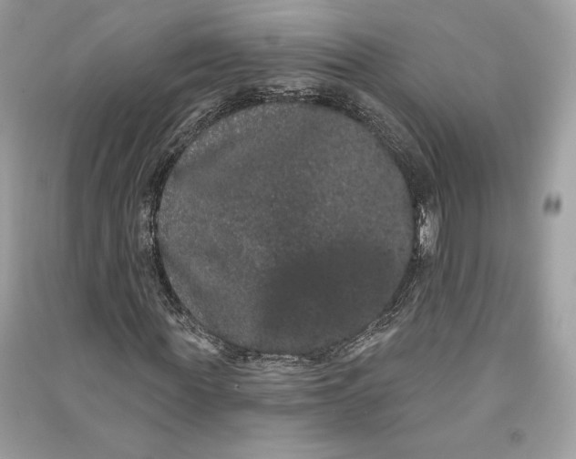 X0000090710819200708101503