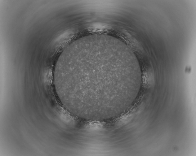 X0000090710820200708101503