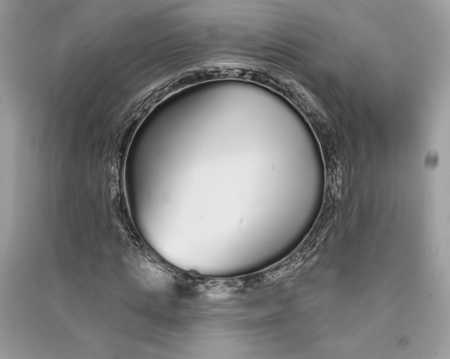 X0000090710821200708101503