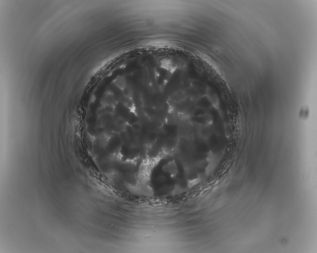 X0000090710823200708101503