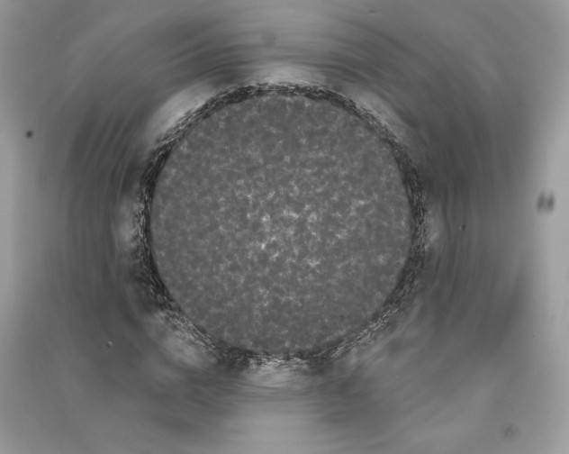 X0000090710824200708101503