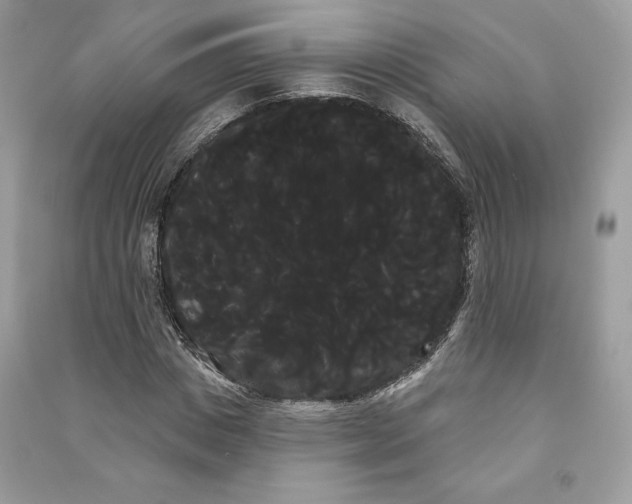 X0000090710825200708101503