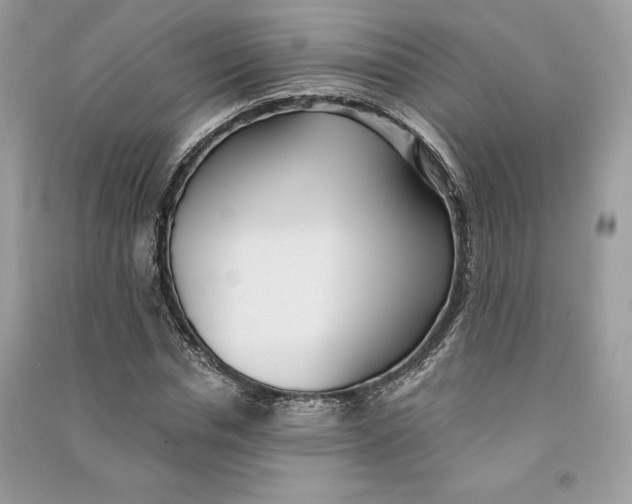 X0000090710826200708101503