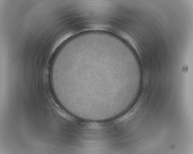 X0000090710827200708101503