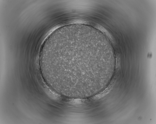 X0000090710828200708101503