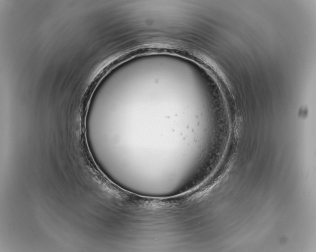 X0000090710829200708101503