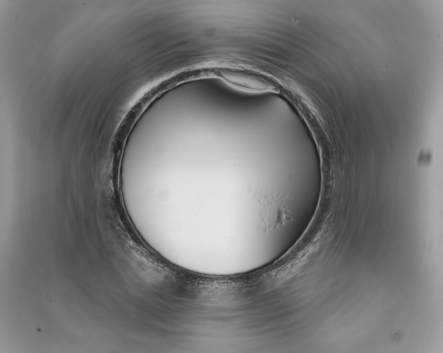 X0000090710830200708101503