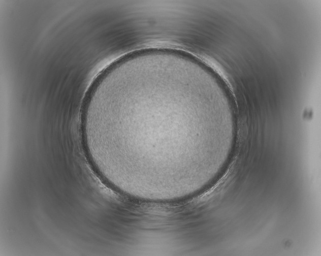 X0000090710831200708101503