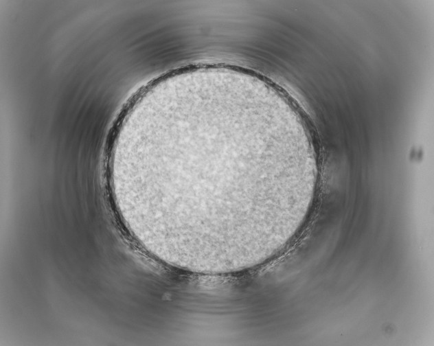 X0000090710832200708101503