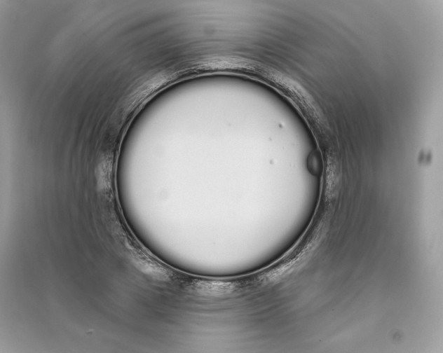 X0000090710833200708101503