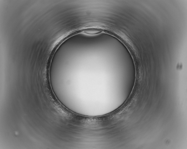 X0000090710834200708101504