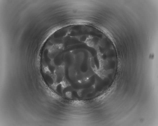 X0000090710835200708101504