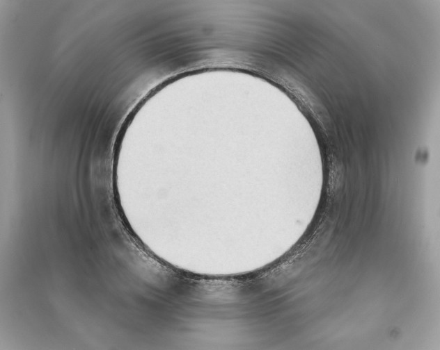 X0000090710836200708101504