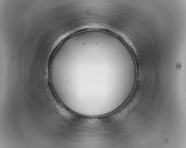 X0000090710837200708101504