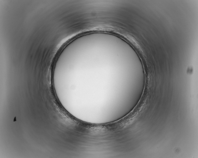 X0000090710838200708101504