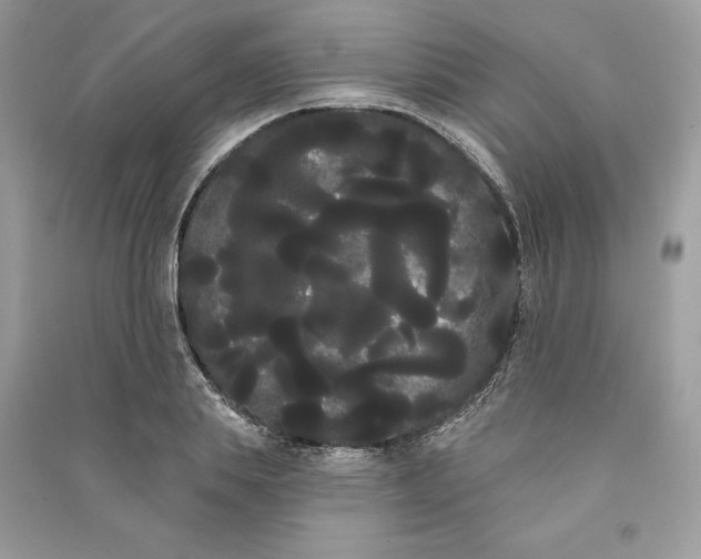 X0000090710839200708101504