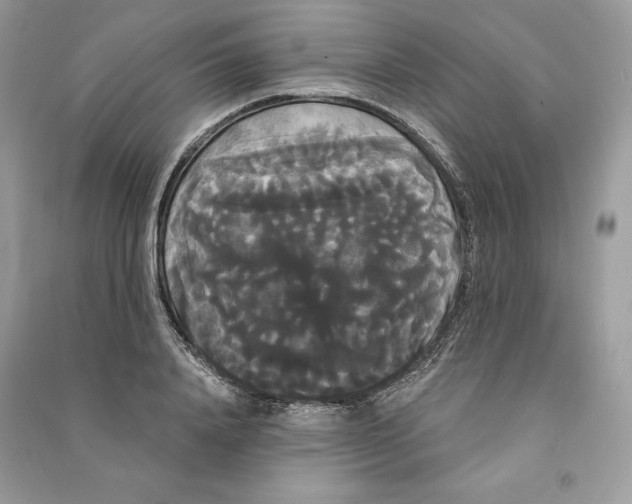 X0000090710840200708101504