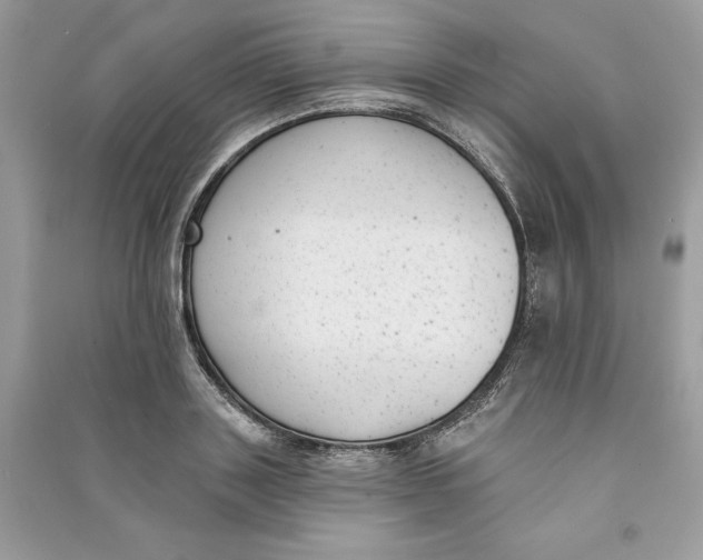 X0000090710843200708101504