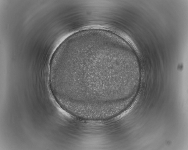 X0000090710844200708101504