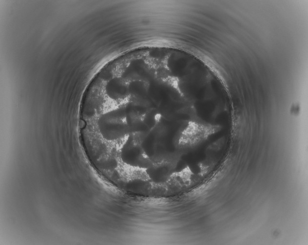 X0000090710845200708101504