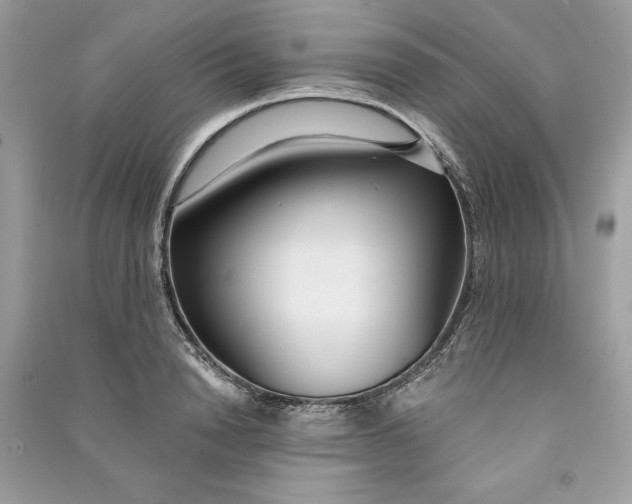 X0000090710846200708101504