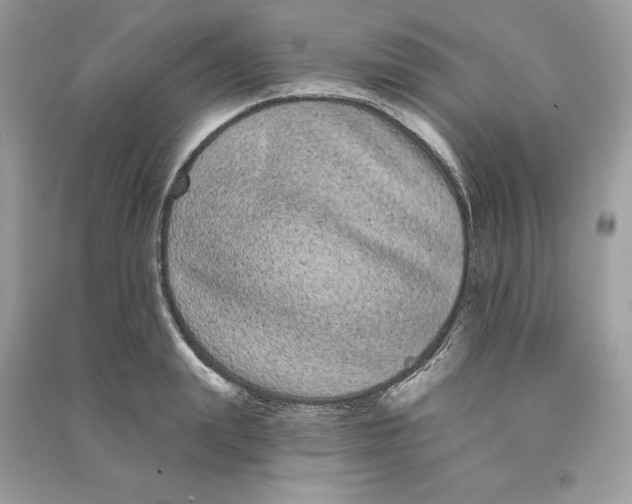 X0000090710847200708101504