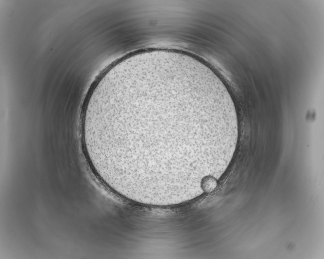 X0000090710848200708101504