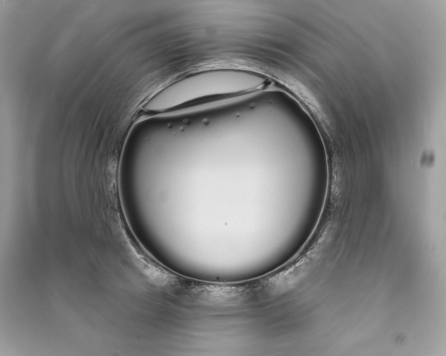 X0000090710849200708101504