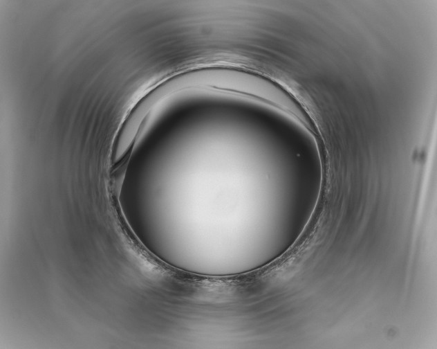 X0000090710850200708101504