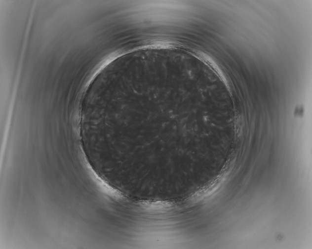 X0000090710851200708101504