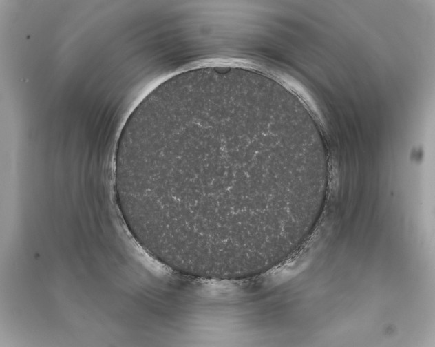 X0000090710852200708101504