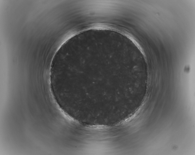 X0000090710853200708101504