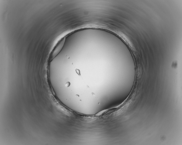 X0000090710854200708101504