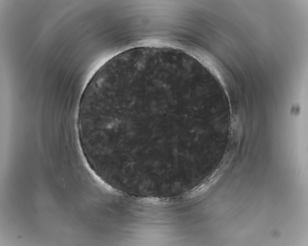 X0000090710855200708101504