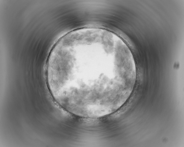 X0000090710856200708101504