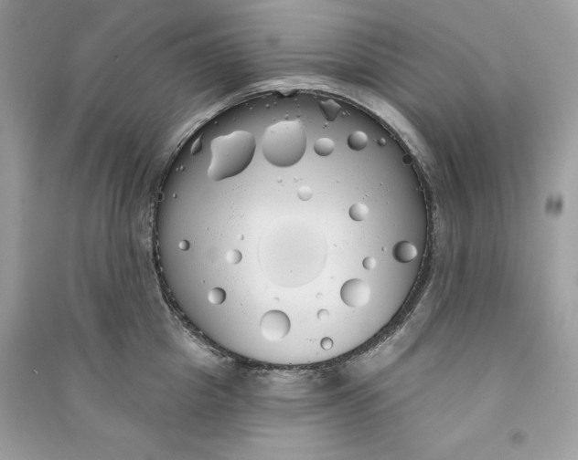 X0000090710857200708101504