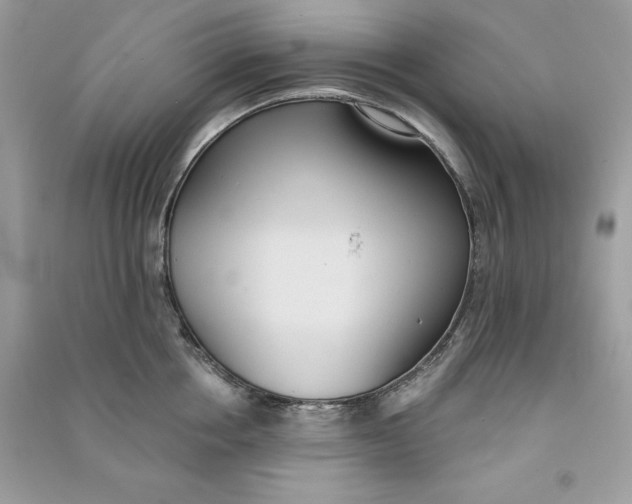 X0000090710858200708101504