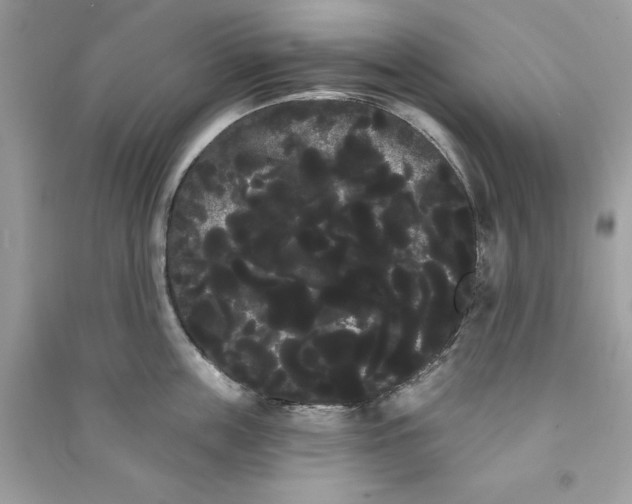 X0000090710859200708101504