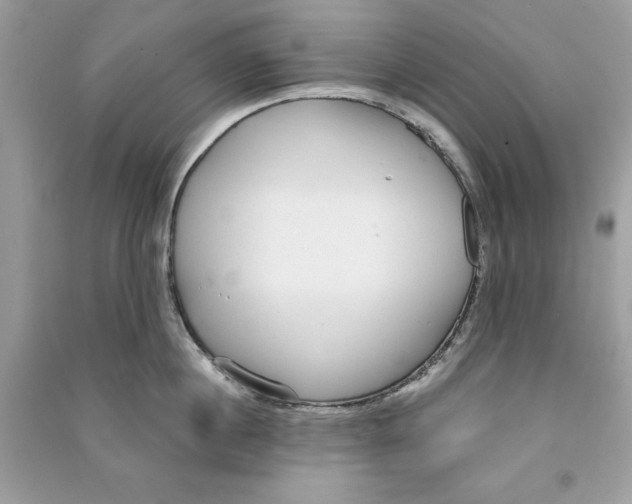 X0000090710860200708101504