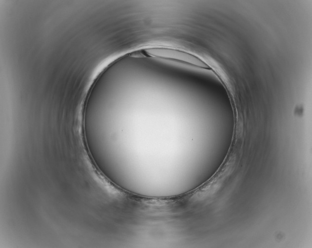 X0000090710862200708101504