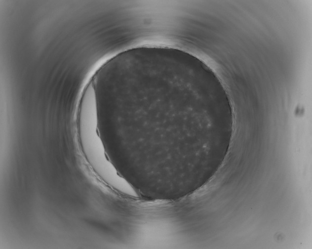 X0000090710864200708101504