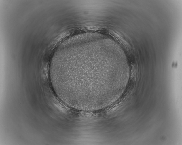 X0000090710866200708101503