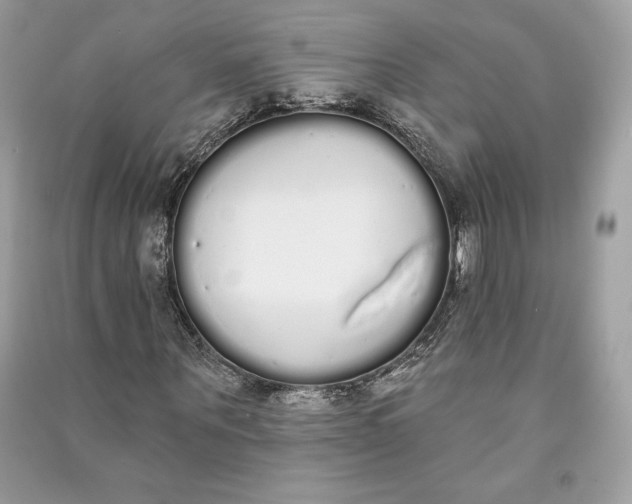 X0000090710867200708101503