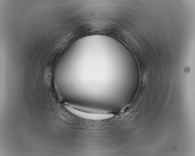 X0000090710868200708101503