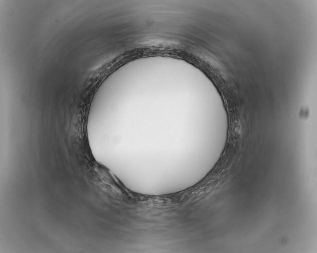 X0000090710869200708101503