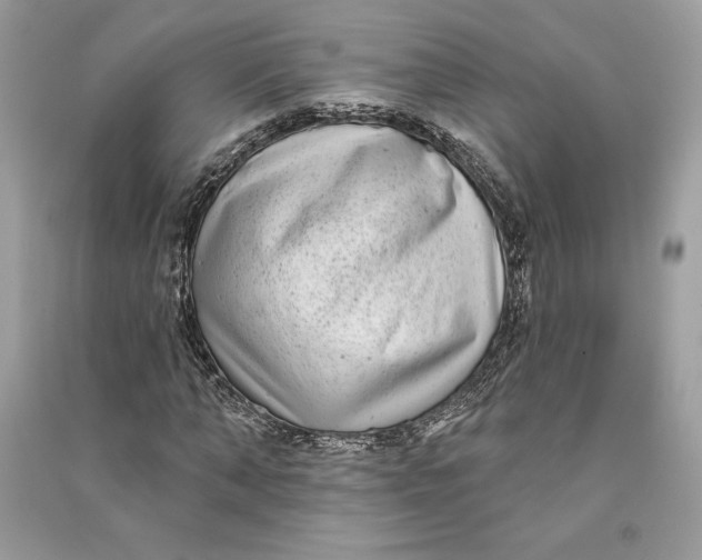 X0000090710870200708101503